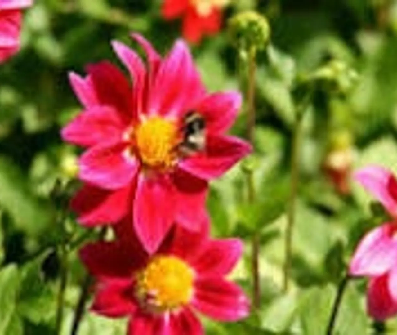 Our Restaurant gallary - Gallery Image 3